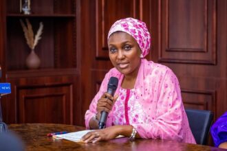 DG NEMA Urges States To Act Early Against Flooding