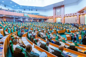 Reps record losses, demand compensation for nigeirans in south africsa
