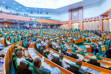 Reps record losses, demand compensation for nigeirans in south africsa