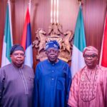 Tinubu Swears In New Power, Foreign Affairs Ministers