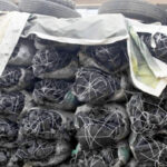 Rising Gas Prices Push Nigerians to Costlier Charcoal