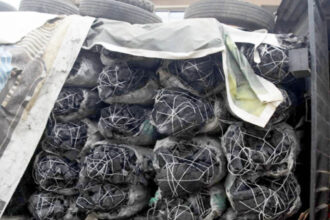 Rising Gas Prices Push Nigerians to Costlier Charcoal
