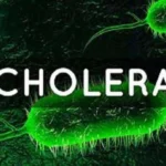 Cholera Claims 40 Lives as Outbreak Hits Borno