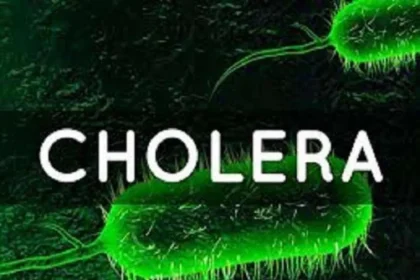 Cholera Claims 40 Lives as Outbreak Hits Borno