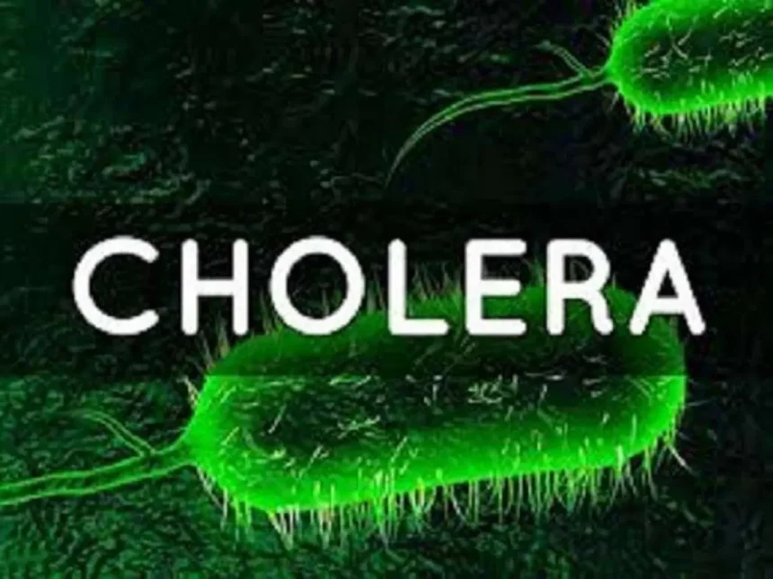 Cholera Claims 40 Lives as Outbreak Hits Borno