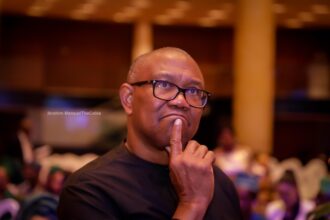 Peter-Obi_Portrait