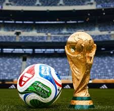 FIFA Orders Fans to Pay for Mistaken Free Tickets