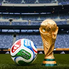 FIFA Orders Fans to Pay for Mistaken Free Tickets
