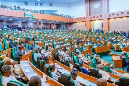 Akwa Ibom power project transmission line site inspected by House of Representatives committee