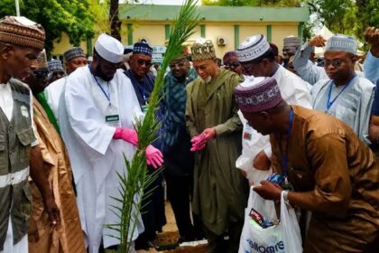 2026 tree planting campaign Kano inauguration by Minister Balarabe Lawal